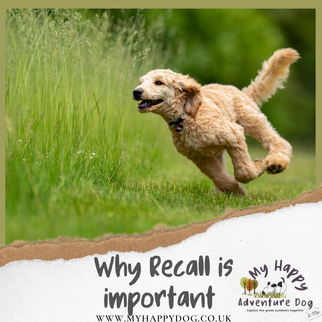 Why Recall is important